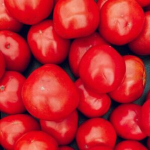 close up shot of a tomatoes
